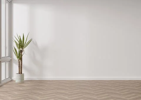 Empty room, white wall and parquet floor. Indoor plant. Mock up interior. Fre Stock Photos