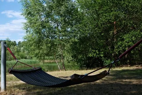 Empty Rope Hammock Beside a Quiet Forest Lake on a Sunny Summer Day Stock Photos
