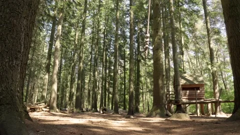 An empty rope swing in motion in a empty playground Stock Footage 133945604
