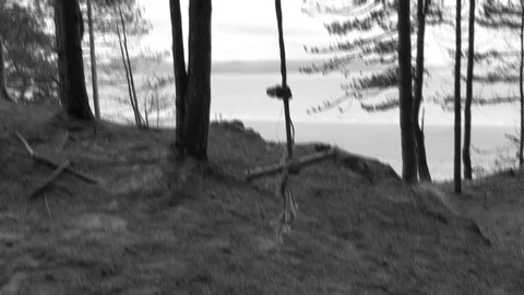 Empty rope swing moving B&amp;W glitch near the beach paranormal Video stock 128821519