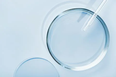 Empty round petri dish or glass slide and Pipette on blue background. Mockup for Stock Photos
