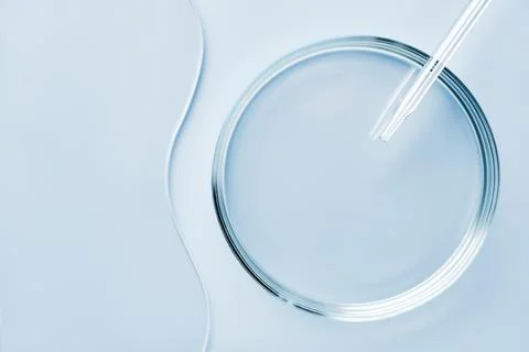 Empty round petri dish or glass slide and Pipette on blue background. Mockup for Фото