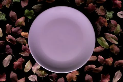 Empty round pink plate lined with dried autumn leaves. Stock Photos