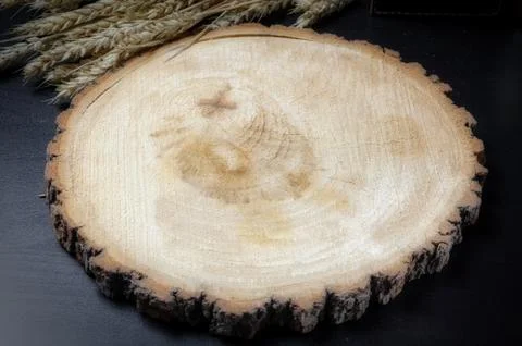 Empty round saw cut tree on dark background with place for text. Empty space for Stock Photos