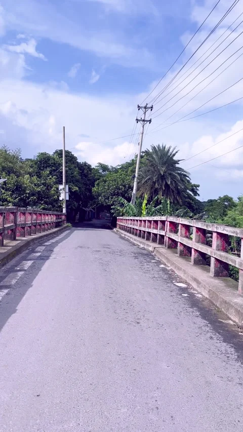 Empty rural bridge over paved road with power lines and trees Stock Footage 344410691