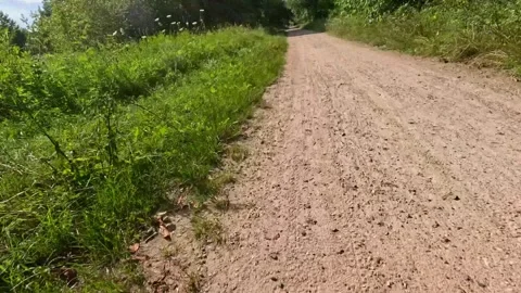 Empty rural dirt road perspective view through countryside landscape Stock Footage 314291026