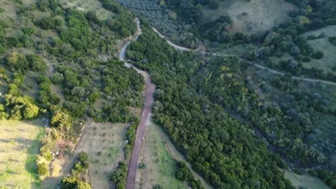 Empty rural hillside track descending beside fields and woodland landscape Stock Footage 344094916