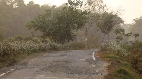 Empty Rural Road Curving Through Green Countryside Landscape Stock Footage 326857266