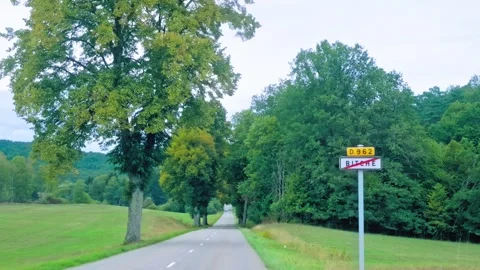 Empty Rural Road Leading Through Green Forest Landscape Stock Footage 346050270