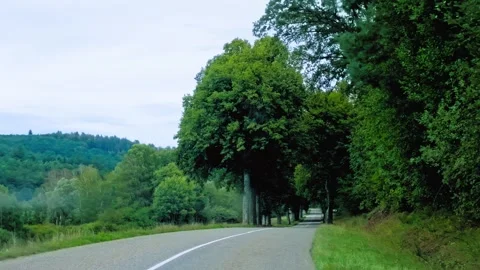 Empty Rural Road Leading Through Green Forest Landscape Stock Footage 346052259