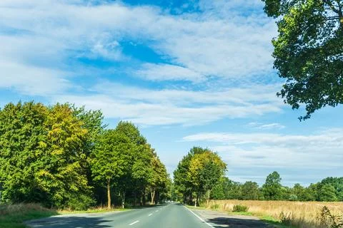Empty rural road running between mature roadside trees and open fields under a Stock Photos