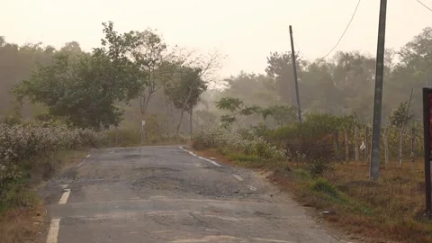 Empty Rural Road Surrounded by Trees and Countryside Landscape Stock Footage 326857285