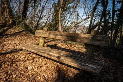 Empty Rustic Wooden Bench in the Winter Forest - Rocca di Garda Italy Stock Photos