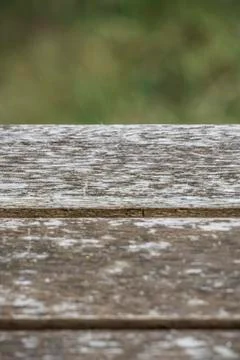 Empty rustic wooden table in front of a green spring abstract background Stock Photos