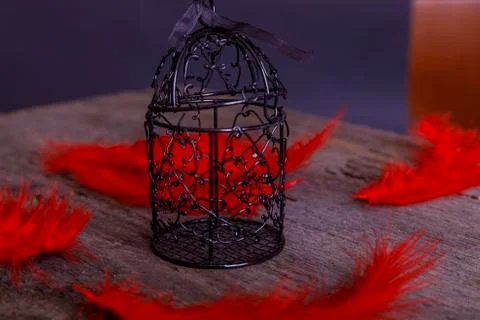 Empty rusty birdcage on old rustic wooden background with red plume. The conc Stock Photos