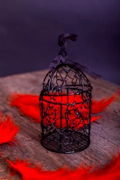 Empty rusty birdcage on old rustic wooden background with red plume. The conc Stock Photos