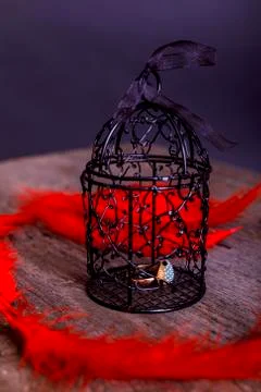 Empty rusty birdcage on old rustic wooden background with red plume. The conc Stock Photos