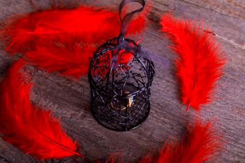 Empty rusty birdcage on old rustic wooden background with red plume. The conc Stock Photos