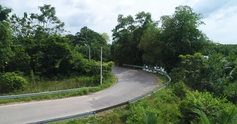 Empty S bend of a guarded road through palm plantation 库存影片 71298080