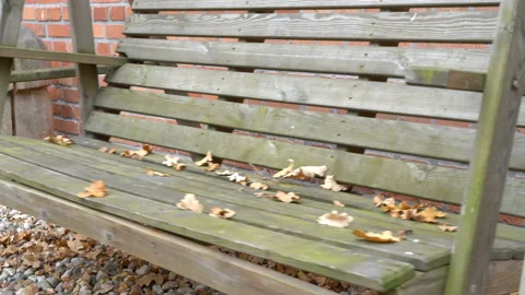 An empty, sad, children's swing moving in the autumn of the year. Stock Footage 106538408