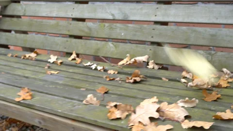 An empty, sad, children's swing moving in the autumn of the year. Stock Footage 106538897