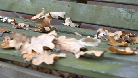 An empty, sad, children's swing moving in the autumn of the year. Vídeos de archivo 106539010