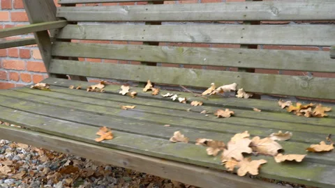 An empty, sad, children's swing moving in the autumn of the year. Stock Footage 106539826