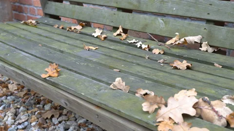 An empty, sad, children's swing moving in the autumn of the year. Stock Footage 106540012