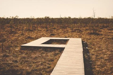 Empty sad pathway in swamp forest national park in brown yellow autumn fall c Stock Photos