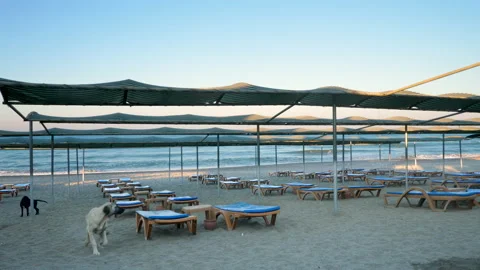 Empty sand beach during lockdown Stock Footage 156023810