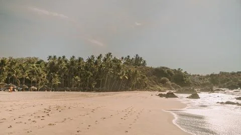Empty Sandy Beach and Coconut Palm Trees in Puerto Escondido, Mexico Stockfoto's