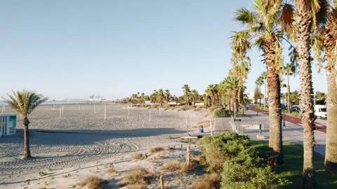 Empty Sandy Beach and Palm Trees Promenade in Valencia Video stock 344529320