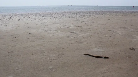 Empty sandy beach and trunk Stock Footage 112045184