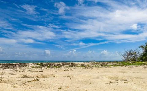 Empty Sandy Beach in Beautiful Puerto Rico Stock Photos