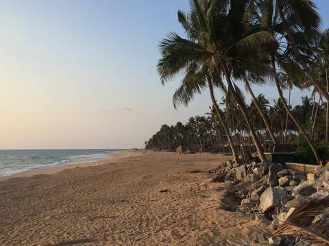 Empty sandy beach with leaning palm trees and gentle waves at sunset Stock Photos