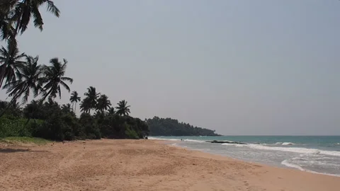 An empty, sandy beach, palm trees and gentle ocean waves hitting the shore Stock Footage 153045540