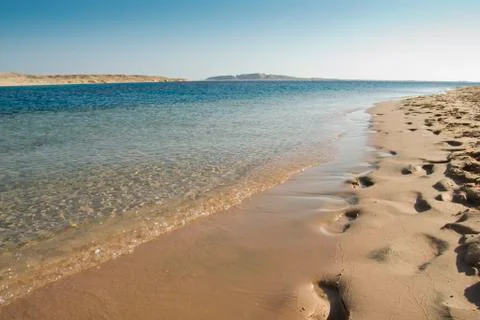 Empty sandy beach. Stock Photos