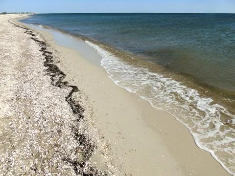 Empty sandy beach with seashells and waves against blue sky and horizon Stock Photos
