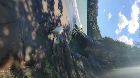 Empty sandy beach view with rocks and water, seashore, tourist destination Stock Footage 164801871