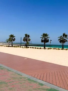 Empty sandy beach walkway with palm trees along coastal promenade under clear Stock Photos