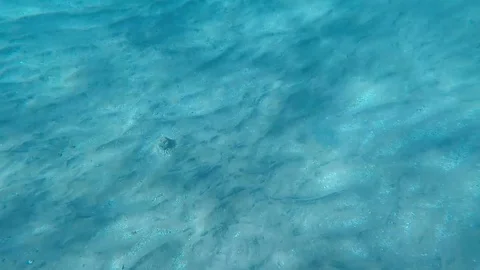 Empty sandy Red Sea floor with with moving ripples from waves Stock Footage 126959210