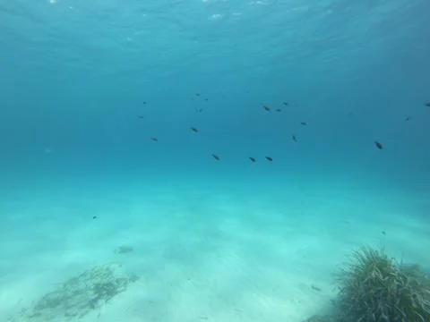 Empty Sandy Seabed in Crystal Clear Blue Ocean Water Stock Photos