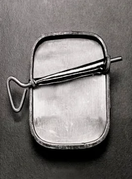 Empty sardine can Stock Photos