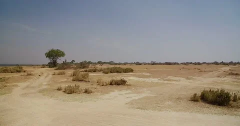 Empty Savanna Uganda Stock Footage 134552432