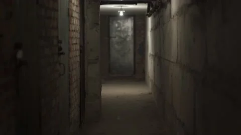 Empty scary dark hallway, cellar with concrete, brick walls with closed door. Stock-Footage 155657452