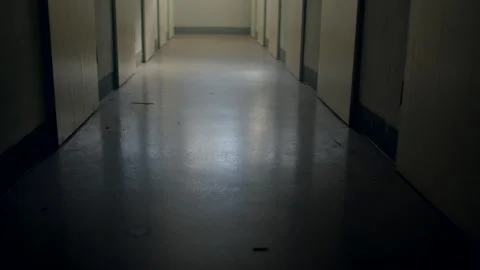 Empty school corridor with closed classroom doors and daylight Video stock 347221718