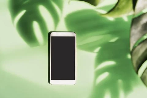 Empty screen smart phone with shadow of tropical green leave on color backgro Fotos Stock