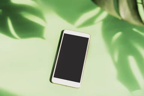Empty screen smart phone with shadow of tropical green leave on color backgro Fotos Stock