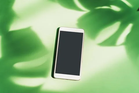 Empty screen smart phone with shadow of tropical green leave 库存照片