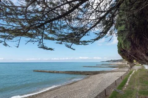 Empty sea beach Stock Photos